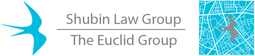 The Euclid Group